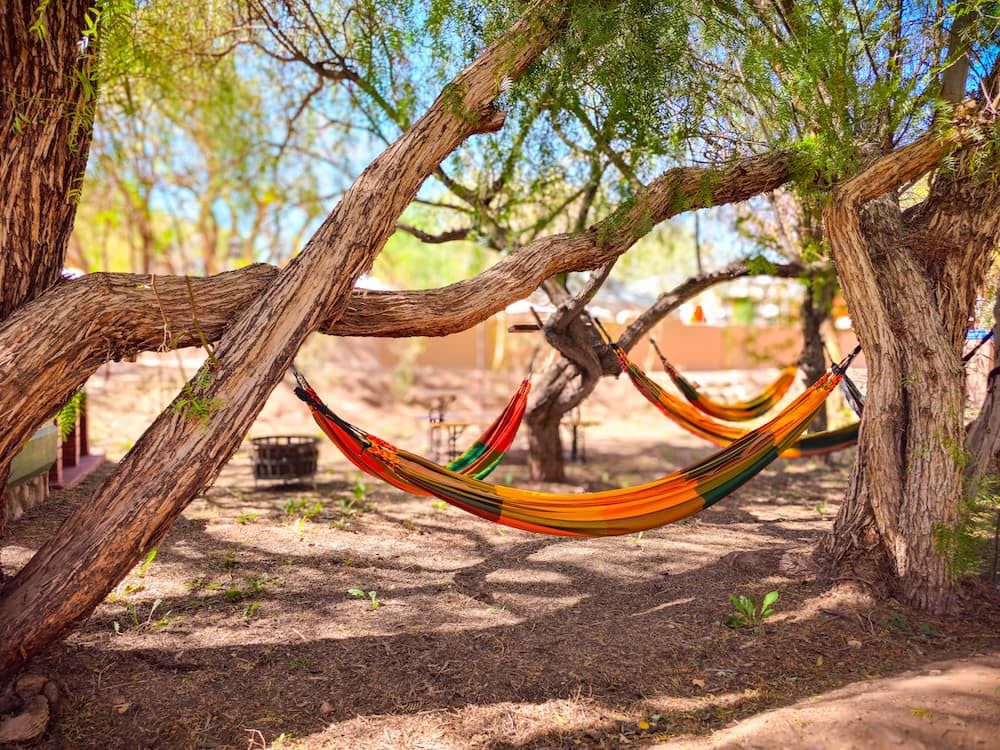 Hammocks among the trees