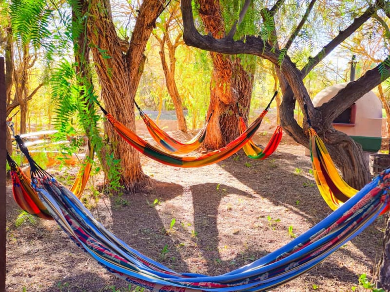 Blue hammock under the trees