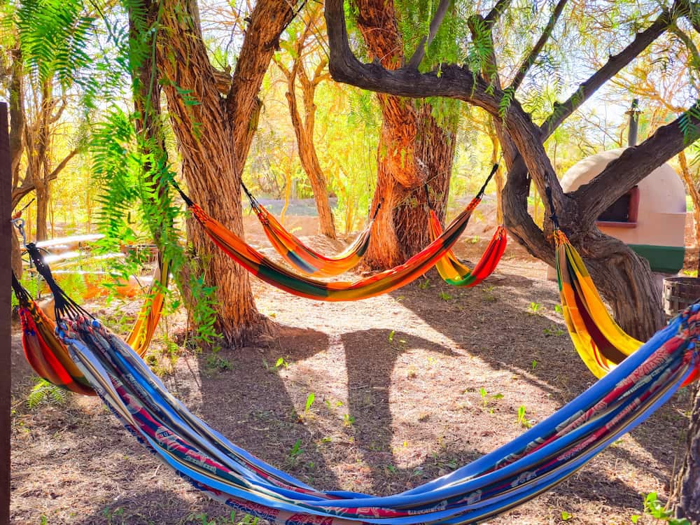 Blue hammock under the trees