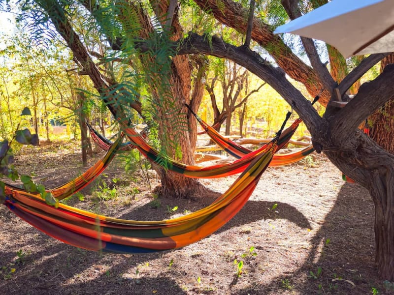 Orange hammock in the garden
