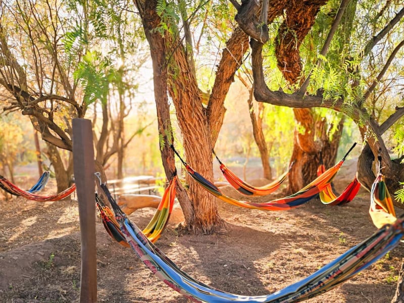 Colorful hammocks in the shade