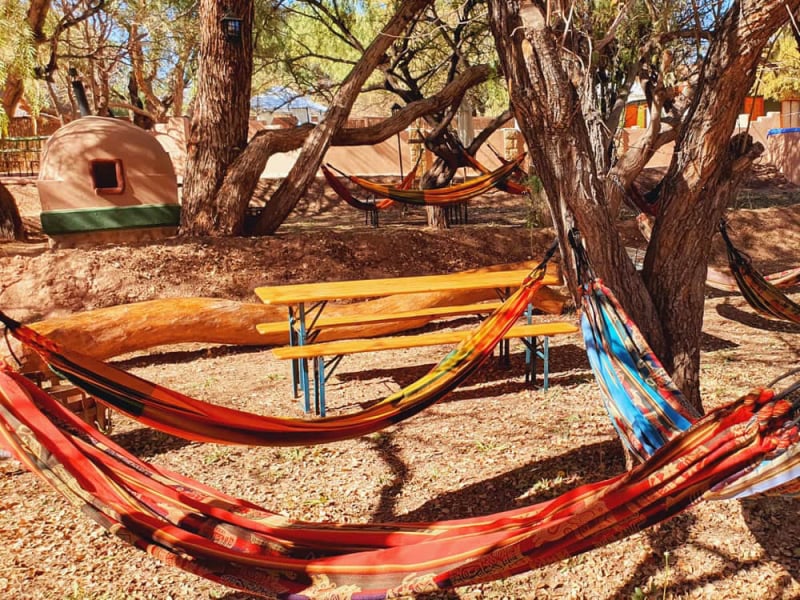 Hammocks and picnic tables