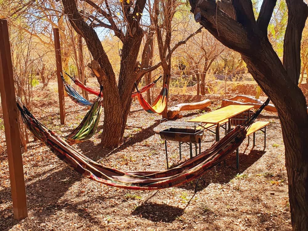 Hammock next to the grill area