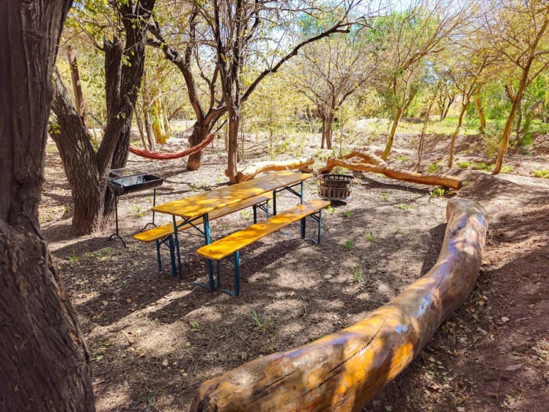 Table with rustic log seats