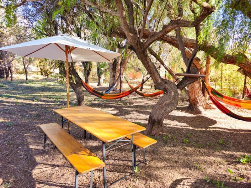 Tables among trees and hammocks