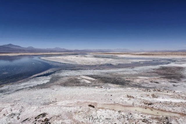 Laguna Chaxa in the Salar de Atacama