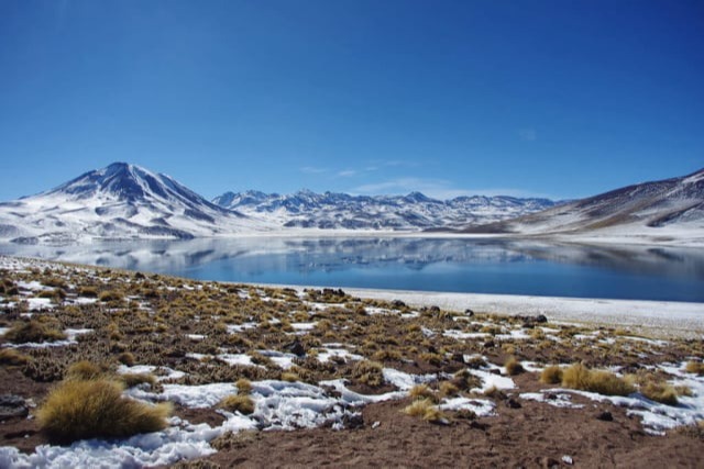 Laguna Miscanti with snow-capped volcanoes in the background