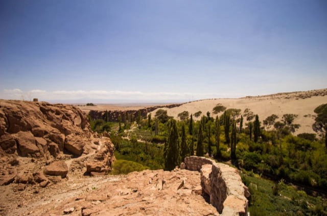 Quebrada de Jerez with fruit trees in Toconao
