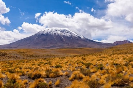Snow-capped Láscar Volcano above the bunchgrass